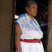 Cuauxicala _huauchinango27